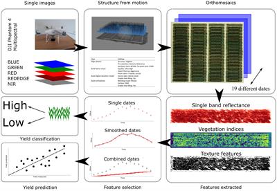 Multi temporal multispectral UAV remote sensing allows for yield assessment across European wheat varieties already before flowering